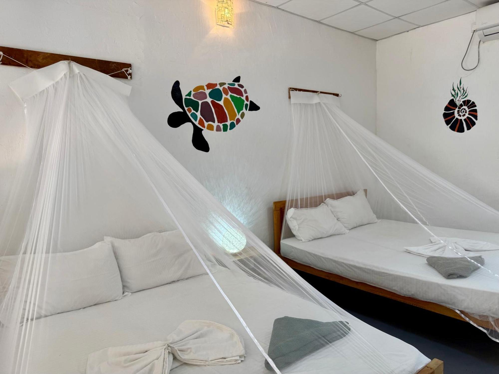Valampuri Kite Resort Kalpitiya Bilik gambar